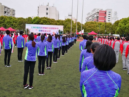 学院师生同台   运动会展风采